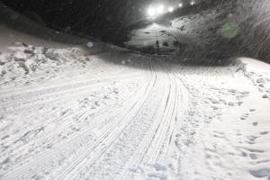 © by www.nikischelle.de